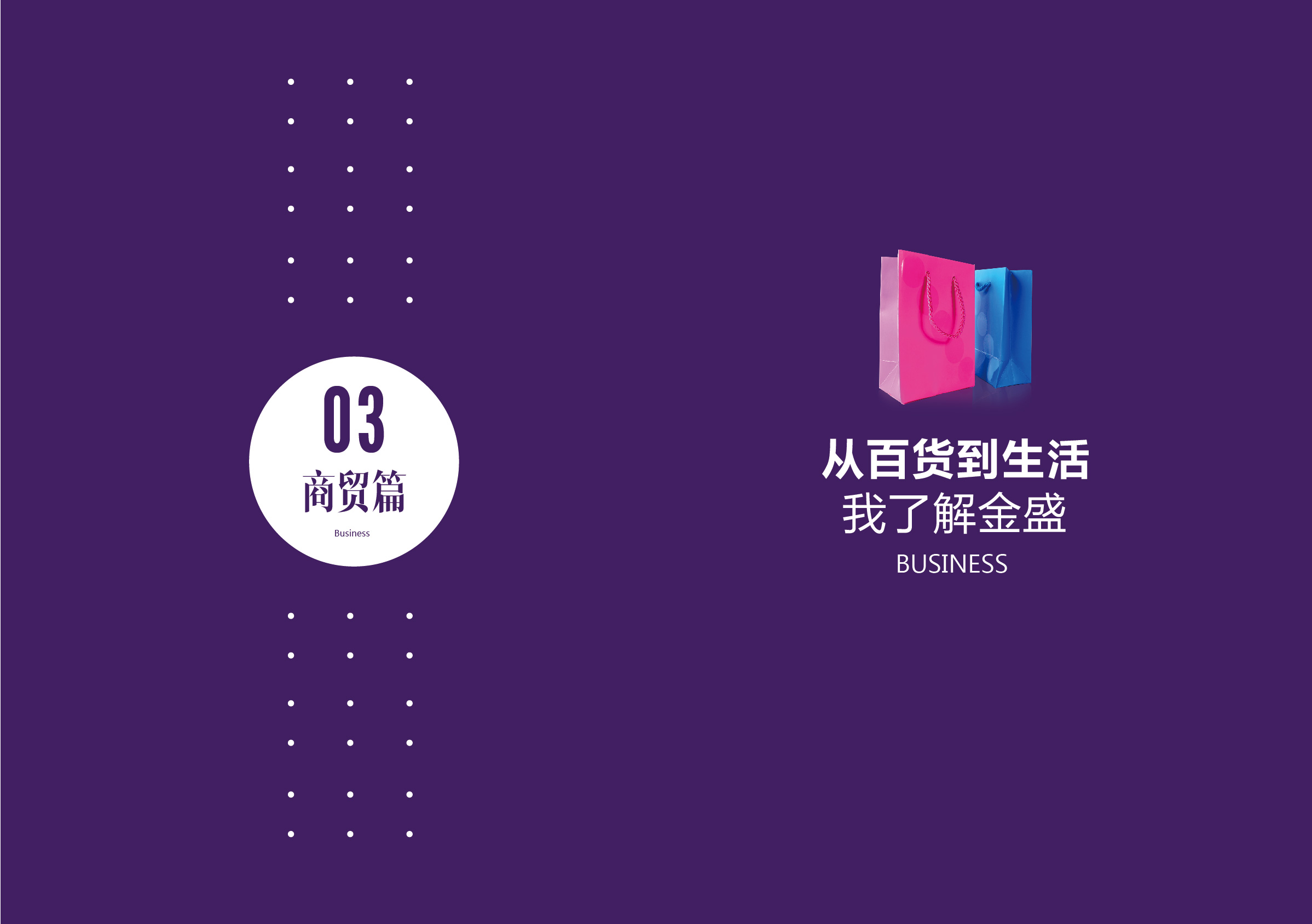 金盛集團(tuán)宣傳手冊(cè)2_012